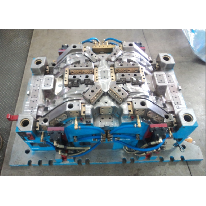 Plastic Injection Mould-Auto-Egg Grate